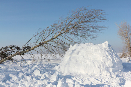 冬天一个冰屋雪林间空地上建设图片