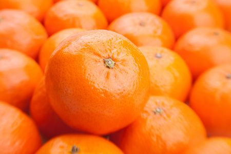 橙色背景很多橘子图片