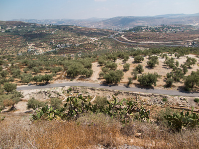 赛巴斯蒂安 古代以色列 废墟和挖掘