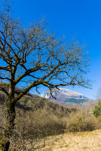 在冬天的山风景