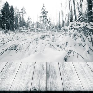 下雪的冬天，在森林里。背景。查看从黑暗的木嘎