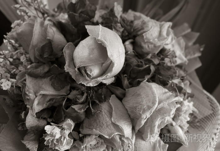 黑白的枯萎的样式上升作为背景