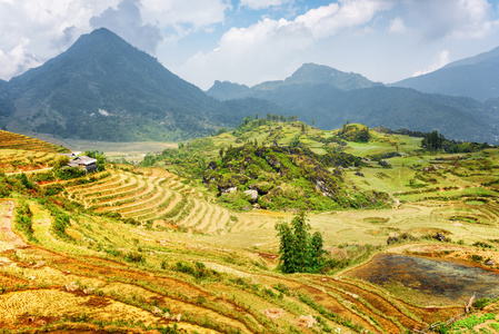 岭梯田风景