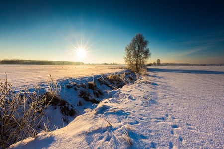 下雪的冬天农村美丽寒冷的早晨