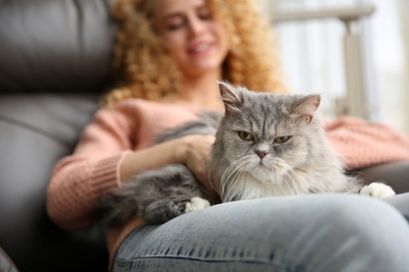 年轻女人和猫在窗口旁边