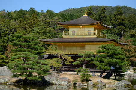 京都金阁寺金阁图片