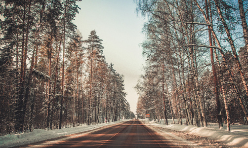 灰色的冬天孤独雪林道