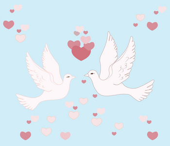 两只鸽子飞翔在天空的爱照片