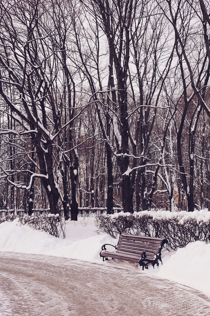 冬天的公园雪景图图片