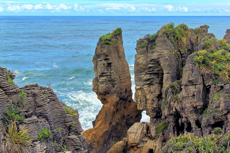 煎饼岩石在新西兰普纳凯基