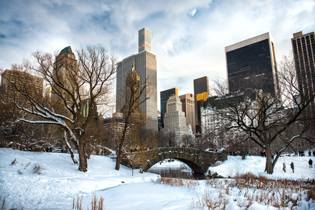 纽约中央公园，城市在 Gapstow 桥下冬天的雪