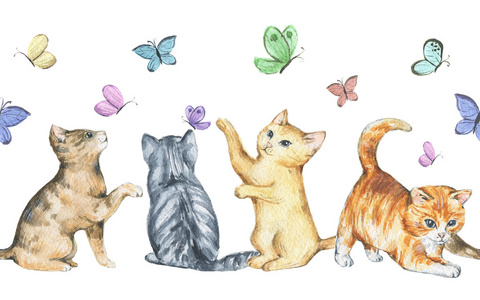 猫咪玩耍图片