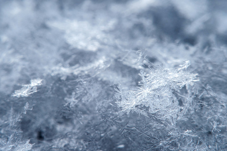 一片雪花在自然环境中的宏图片