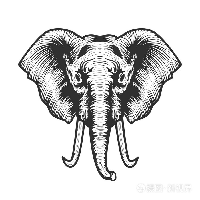 大象头图