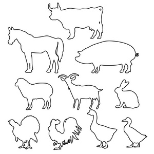 农场动物的轮廓线风格。
