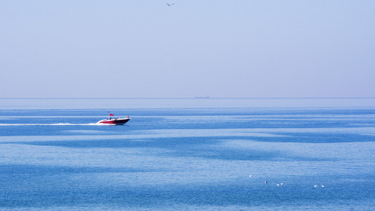 船 船与海鸥海景