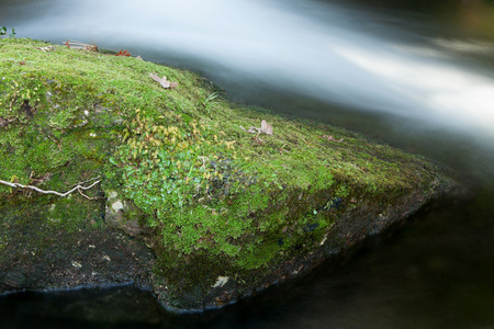 溪和长满了苔藓的大石头