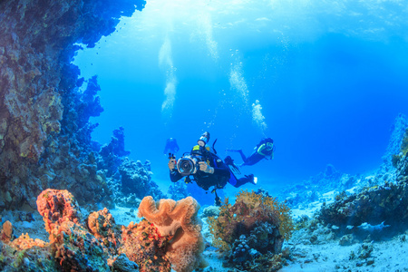 潜水员检查珊瑚礁，红海，埃及