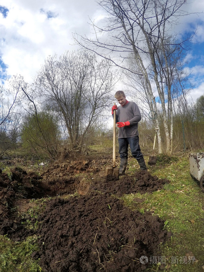 年轻人在早春的时候挖地, 准备在潮湿的土壤上种植