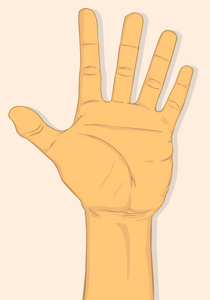 左手显示五个手指。矢量和插图设计