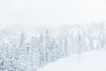 小人物在雪山上散步的风景。