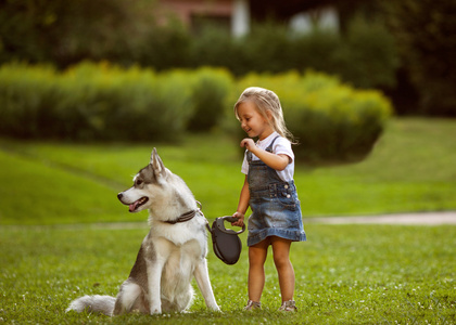 在公园里的小女孩与狗哈士奇家园