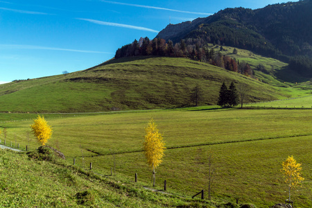 装载 Rigi 和秋季景观，阿尔卑斯山