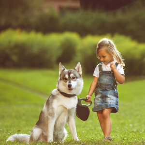在公园里的小女孩与狗哈士奇家园