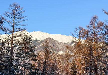 雪的山的顶端