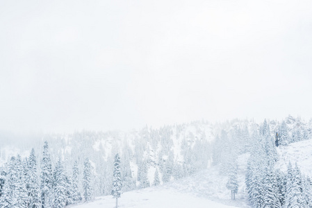 小人物在雪山上散步的风景。