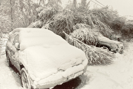 新鲜白雪覆盖的汽车