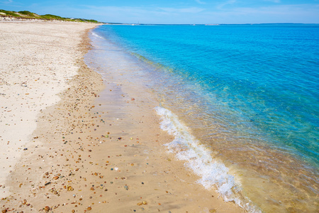 Cape Cod 桑迪脖子上海滩马萨诸塞州我们