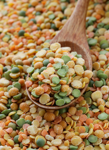 多彩的混合天然有机小扁豆为健康食品的