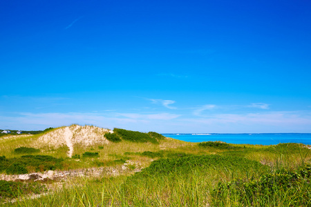 Cape Cod 桑迪脖子上海滩马萨诸塞州我们