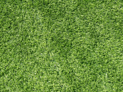 室内草甸草地图片-室内草甸草地素材-室内草甸草地插画-摄图新视界