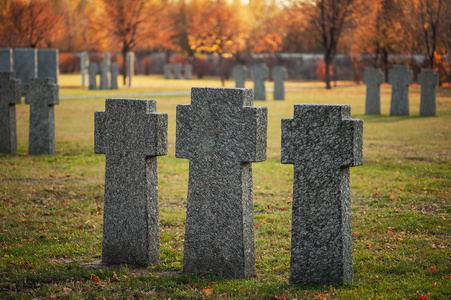 军事坟墓图片-军事坟墓素材-军事坟墓插画-摄图新视界