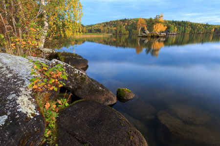 金色的秋天日落湖 金黄的桦树，用石头 湖面倒影与日落