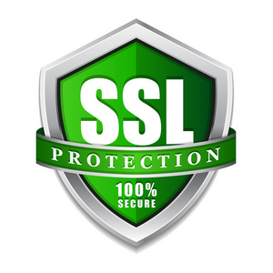 Ssl 保护安全绿色盾牌矢量图标