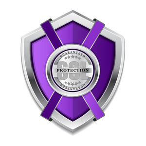 Ssl 保护安全的紫罗兰色盾牌矢量图标