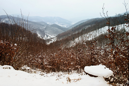 冬季风景风光