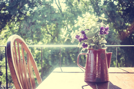 花瓶植物与户外景观
