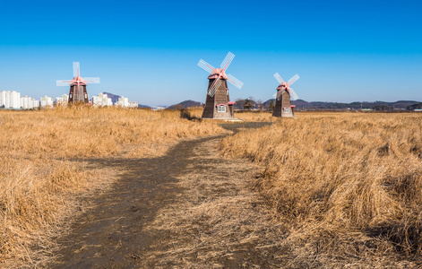 老木风车公园 韩国中的字段照片 正版商用图片1lh0z2 摄图新视界