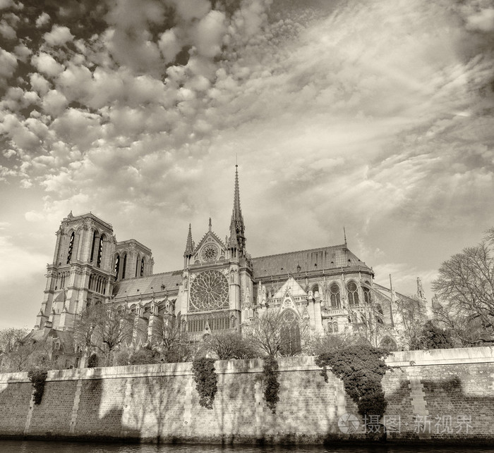 黑色和白色，巴黎圣母院大教堂