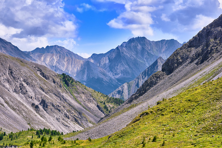 山坡，在夏季高峰