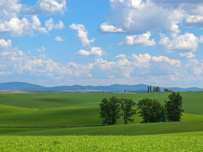 美丽的乡村景色，与绿色的田野和多云的蓝色天空