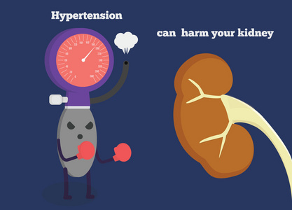 血压高的压力可以伤害你的肾