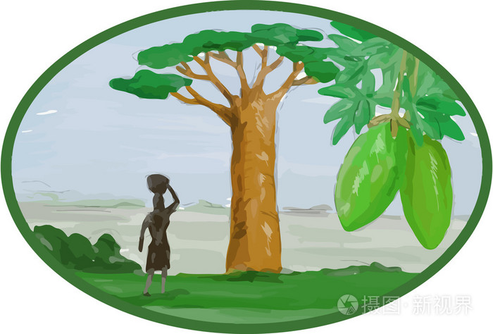 猴面包树和水果水彩