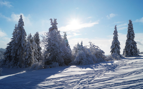 雪山景观