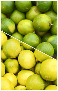 从农场运来的新鲜的绿柠檬和黄柠檬的拼贴画