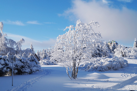 雪山景观